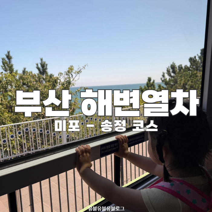 부산 여행 해변열차 아이랑 타본 후기! 예약방법, 미포-송정 코스, 시간표, 주차 정보, 부산 ....