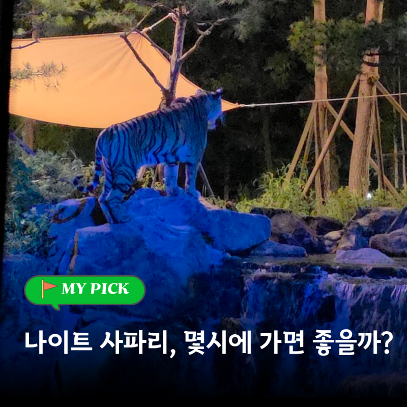 에버랜드 나이트 사파리 명당자리, 시간대 추천 (야간권)