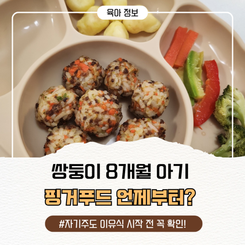 8개월 아기 핑거푸드 언제부터? BLW·자기주도 이유식 시작 전 꼭 알아둘 것
