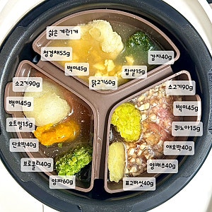 9개월 아기 후기 이유식 레시피·식단표｜분유 거부로 양 줄인 밥솥 이유식 3일치