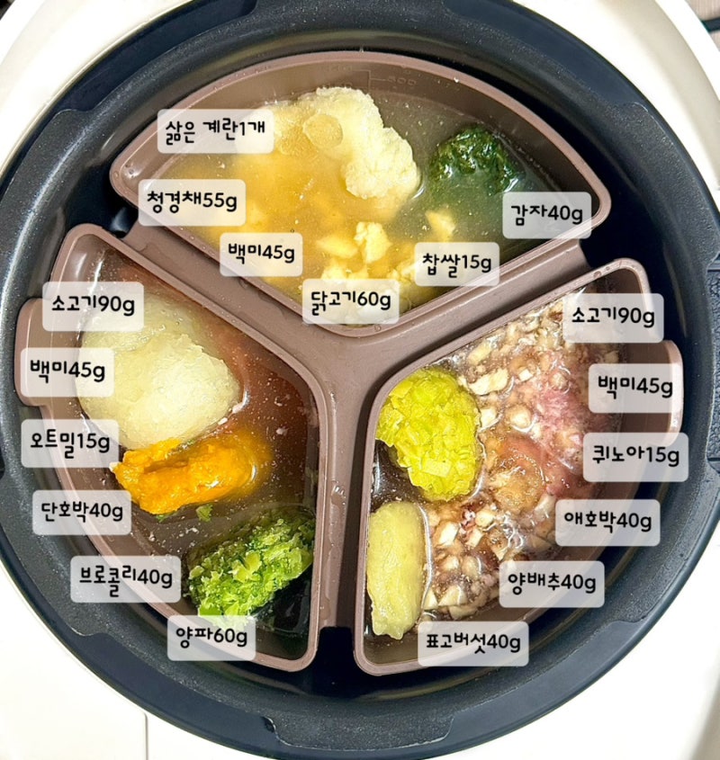 9개월 아기 후기 이유식 레시피·식단표｜분유 거부로 양 줄인 밥솥 이유식 3일치
