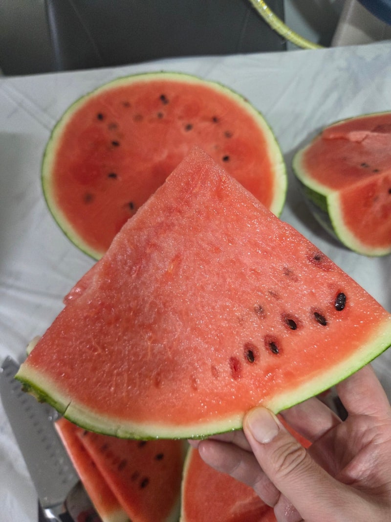 여름 과일 맛있는 수박 고르는방법 맛있는 수박 당도 맛있게 보관하는 법