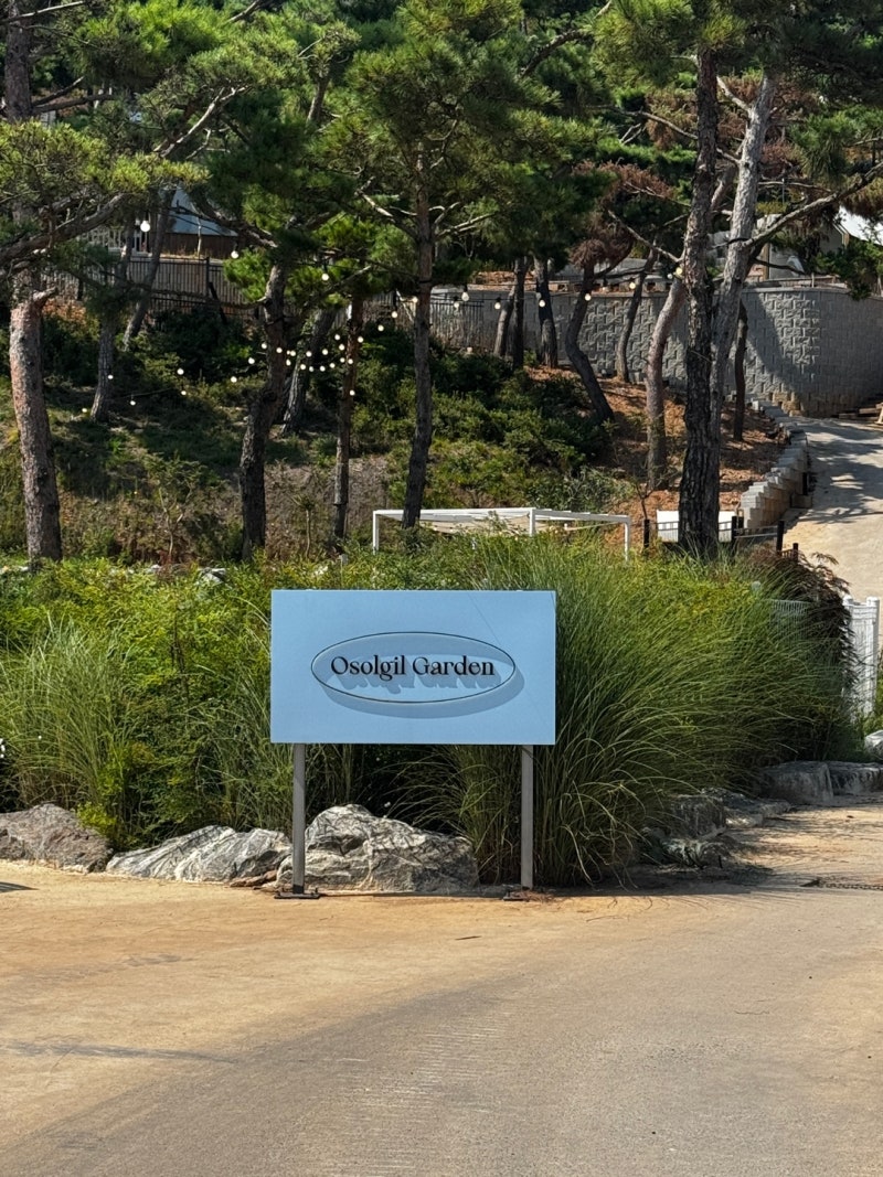 제부도카페 제부도애견동반카페 ) " 오솔길 정원 Osolgil Garden "