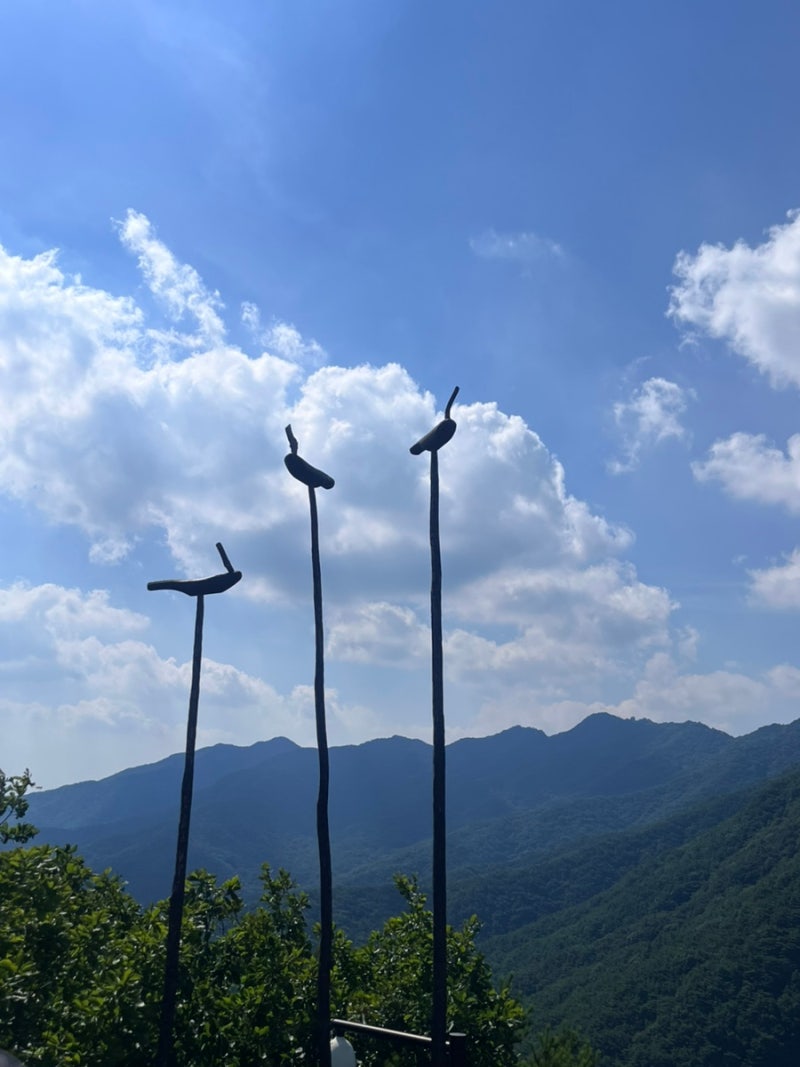 [대구여행] 대구 팔공산 케이블카 금액, 후기