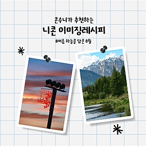 [이 달의 레시피 추천] 콘수니의 8월 니콘 이미징 레시피 추천: Color Splash by Gilmar Smith