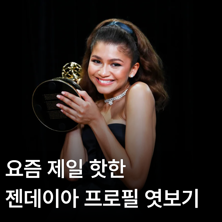 젠데이아 프로필 총정리 본명,나이,키 작품부터 톰 홀랜드와의 인연까지