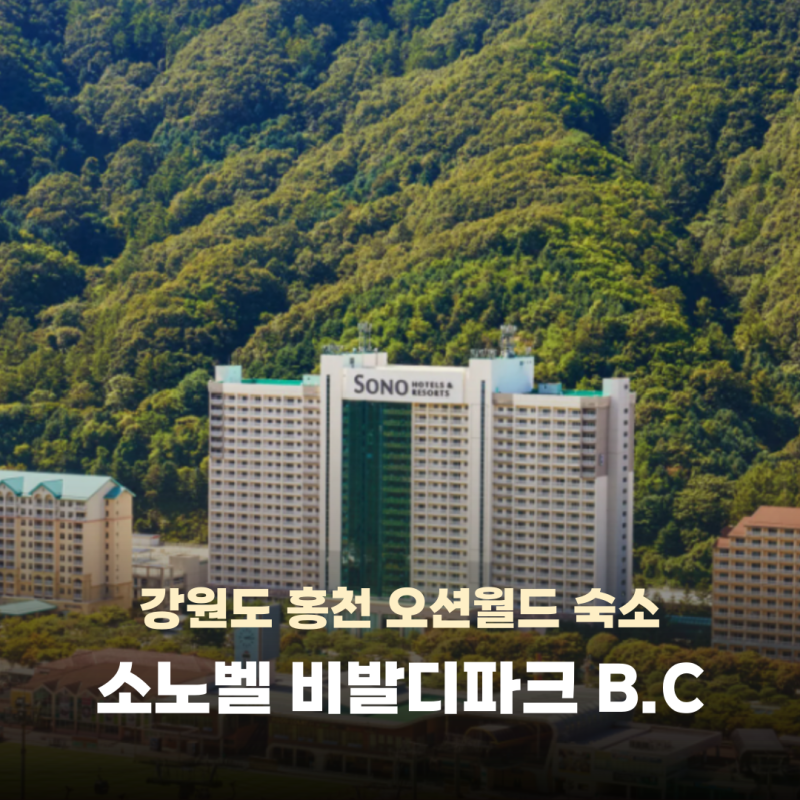 소노벨 비발디파크 홍천 B C동 숙소 조식 오션월드