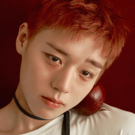 박지훈 앙코르 콘서트 서울 티켓팅 일정 및 좌석 가격 총정리, 선예매 놓치면 후회!
