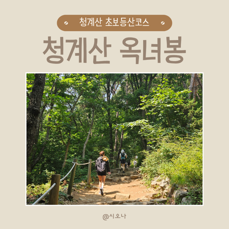 서울 초보 등산 청계산 옥녀봉 등산 코스 추천 주차정보 및 꿀팁 총정리