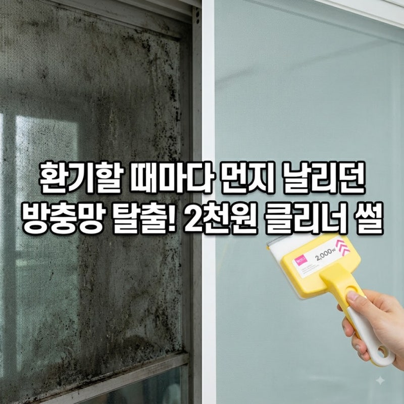 "곰팡이 핀 거실 방충망 어쩌죠?" 단돈 2,000원 다이소 방충망 클리너로 5분 만에 묵은 먼지 싹 ....