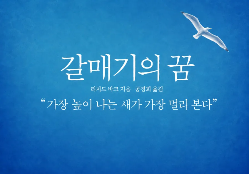 갈매기의 꿈 책, 내 안의 날개를 다시 믿게 하다