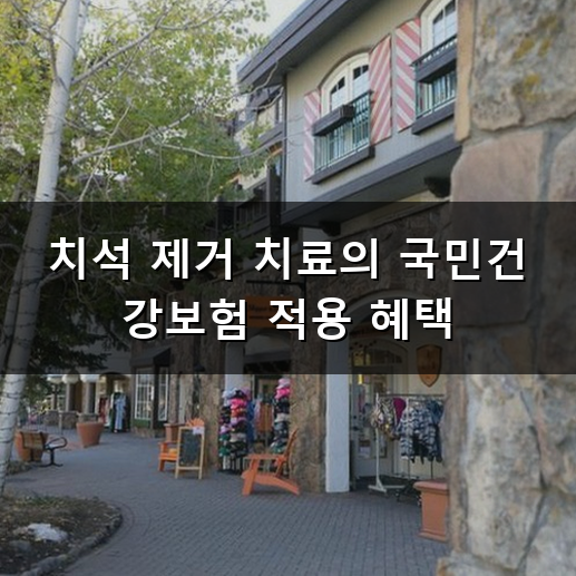 스케일링 가격 비용과 건강보험 적용 기준 정리