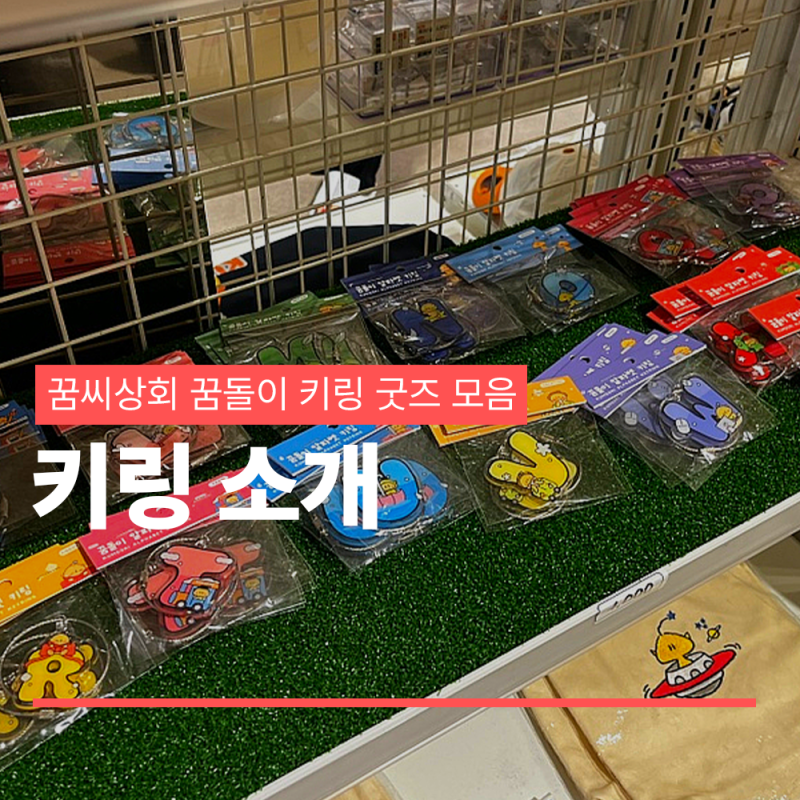 꿈씨상회 꿈돌이 키링 모아보기 키링 종류 소개해드려요