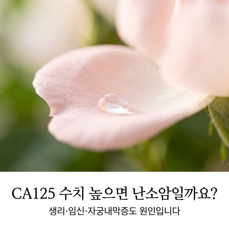 CA125 수치 높으면 난소암일까요? 생리·임신·자궁내막증도 원인입니다