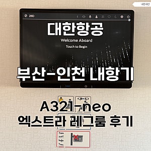 대한항공 부산-인천 내항기 A321-neo 엑스트라 레그룸, 내항기 귀국편 수속까지