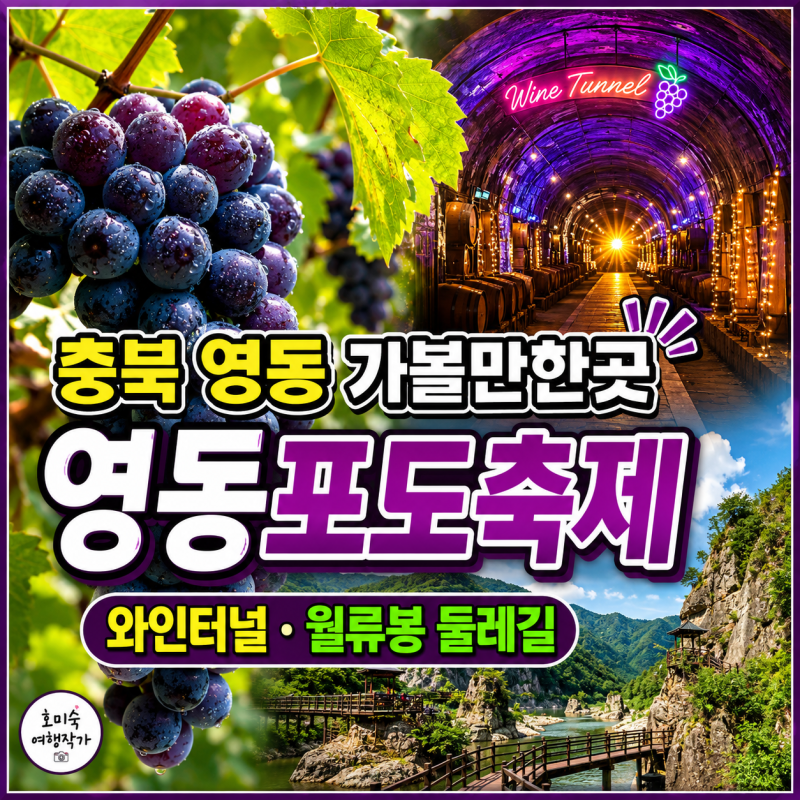 충북 영동 가볼만한곳 영동포도축제 가수 월류봉 둘레길 영동 와인터널