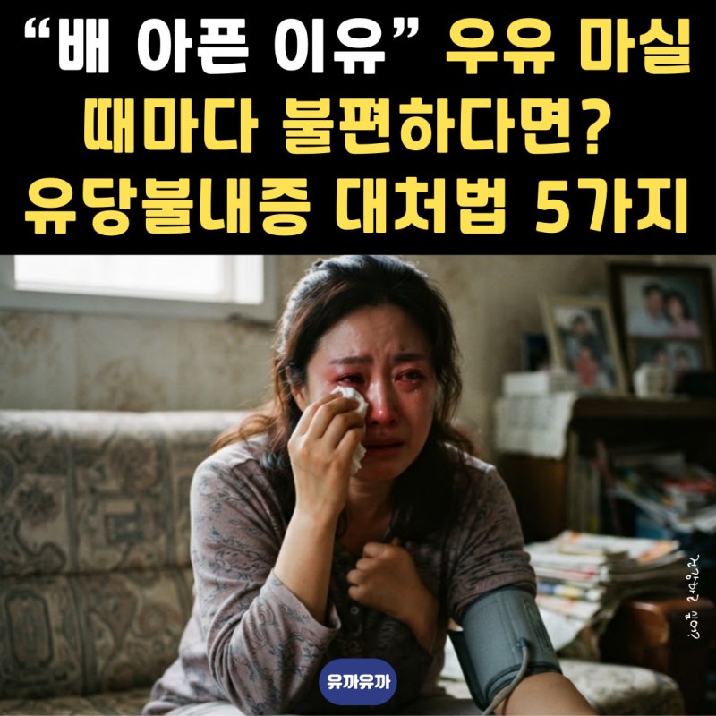 “배 아픈 이유” 우유 마실 때마다 불편하다면? 유당불내증 대처법 5가지