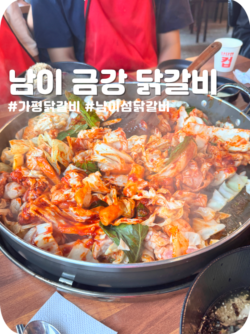 가평 애견동반 식당 남이섬 금강닭갈비막국수 반려견 동반 후기 및 무료 주차 꿀팁