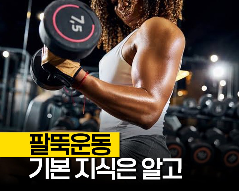 "이두 삼두 한번에" 아령운동 덤벨컬로 팔근육운동 팔근육키우는법