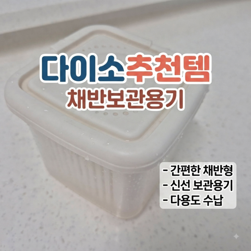 다이소 자취템 단돈 천원 채반보관용기를 활용한 간편 음식물쓰레기통 만들기
