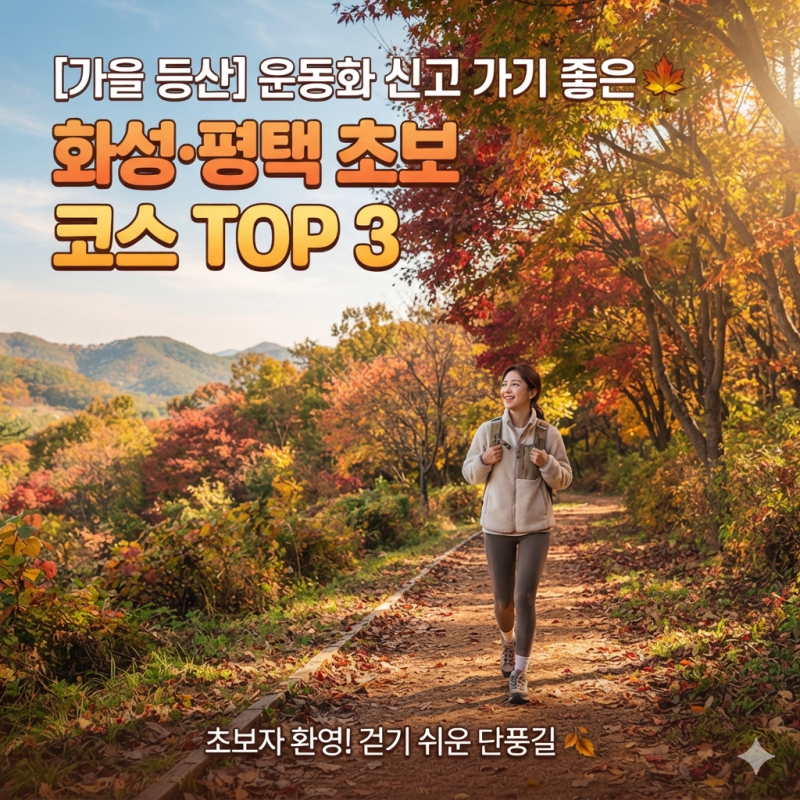 가을 등산 추천. 화성 평택 가을 등산 운동화 신고 가기 좋은 가을 초보 등산코스 TOP 3단풍과 ....