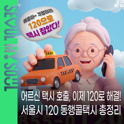 어르신 휴대전화에 120 미리 저장! 너무 쉬운 120동행콜택시 호출방법 Q&A