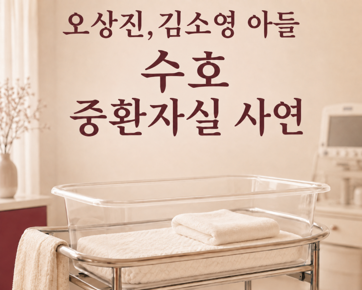 김소영 둘째 수호 <b>중환자실</b> 입원, 왜 뒤늦게 밝혔나