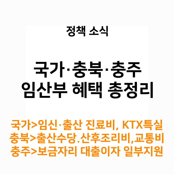 2026 임산부 혜택 총정리! 국가 지원부터 충북·충주 맞춤형 혜택까지