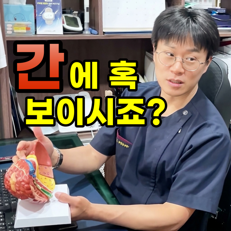 건강검진에서 간 이상 소견, 간암일까요? 초음파 이후 확인할 것