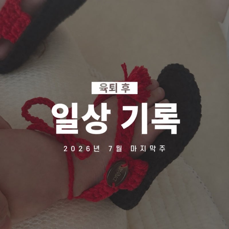 7월 마지막 주 일상 기록, 아기쪼리 뜨는법,하베오 아기옷 럭키박스,포항여행,육아육묘