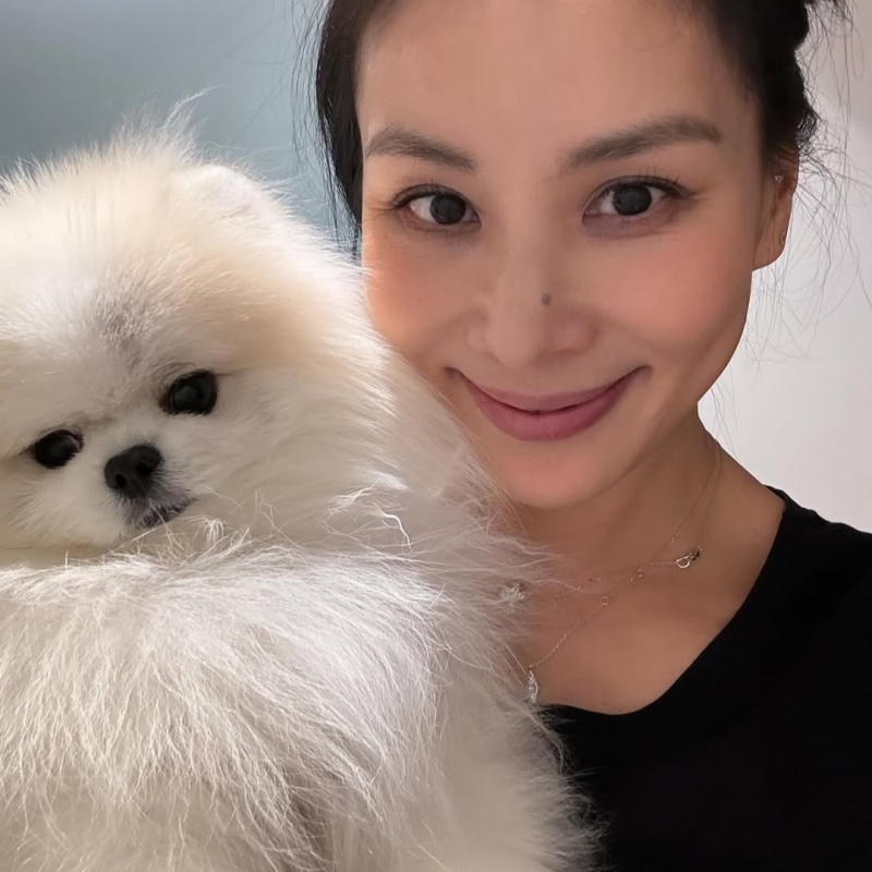 "아이들 방학에 4kg 빠져.. 40kg대 된" 고소영 프로필, 나이, 남편, 작품, 유튜브