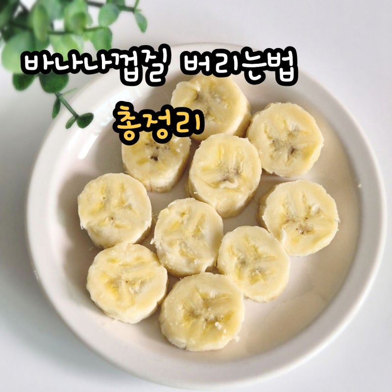 바나나 껍질 버리는법 음식물쓰레기 일반쓰레기 배출 기준