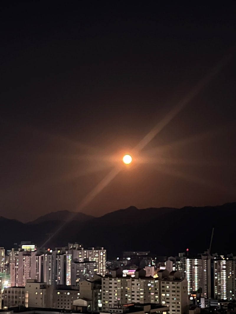 [약성분] 뉴렙톨캡슐(Gabapentin) - 신경병증성 통증/뇌전증 치료제 작용 기전, 용법, 부작용 등 ....