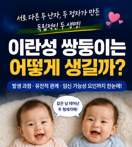 이란성 쌍둥이 어떻게 생길까? 발생 과정 유전적 관계와 쌍둥이 임신 가능성을 높이는 요인