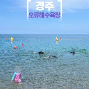오류해수욕장 오류 고아라해변 경주 아이랑 가볼만한곳