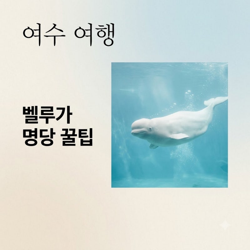 "벨루가 울음소리 들어봤어?" 여수아쿠아플라넷 3층에서 마주한 반전