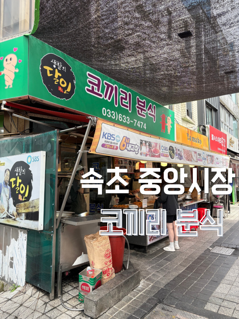 속초 중앙시장 코끼리 분식 떡볶이 꽈배기, 속초 여행 먹거리 추천