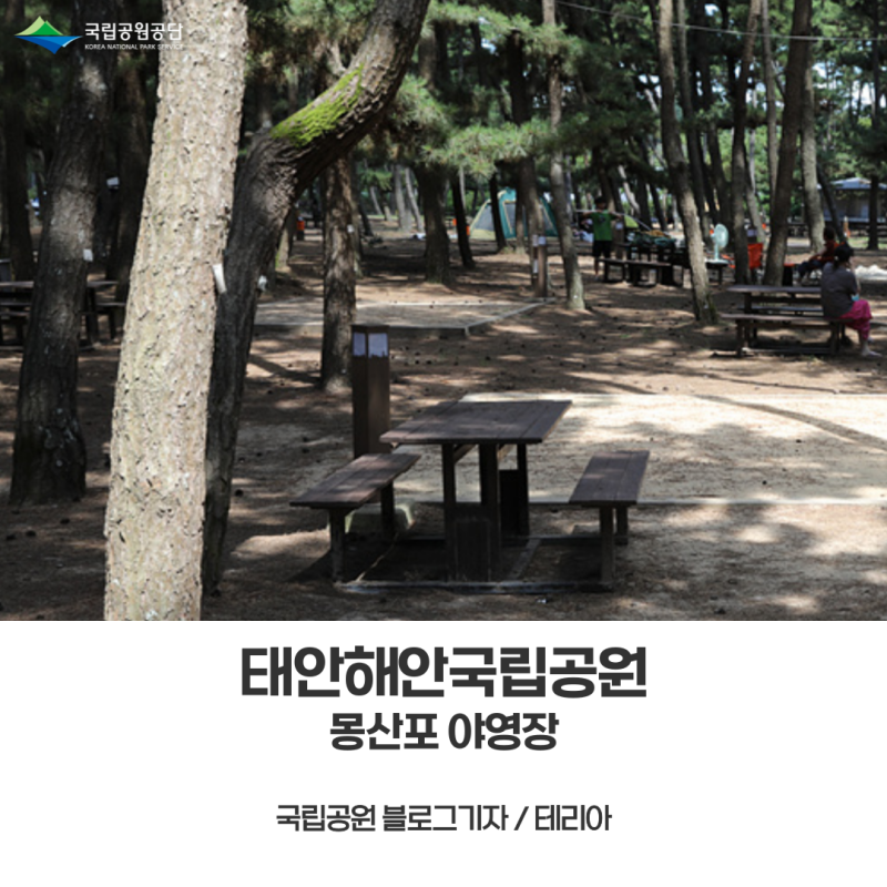 [태안해안국립공원] 몽산포 야영장 한여름 폭염에도 야영