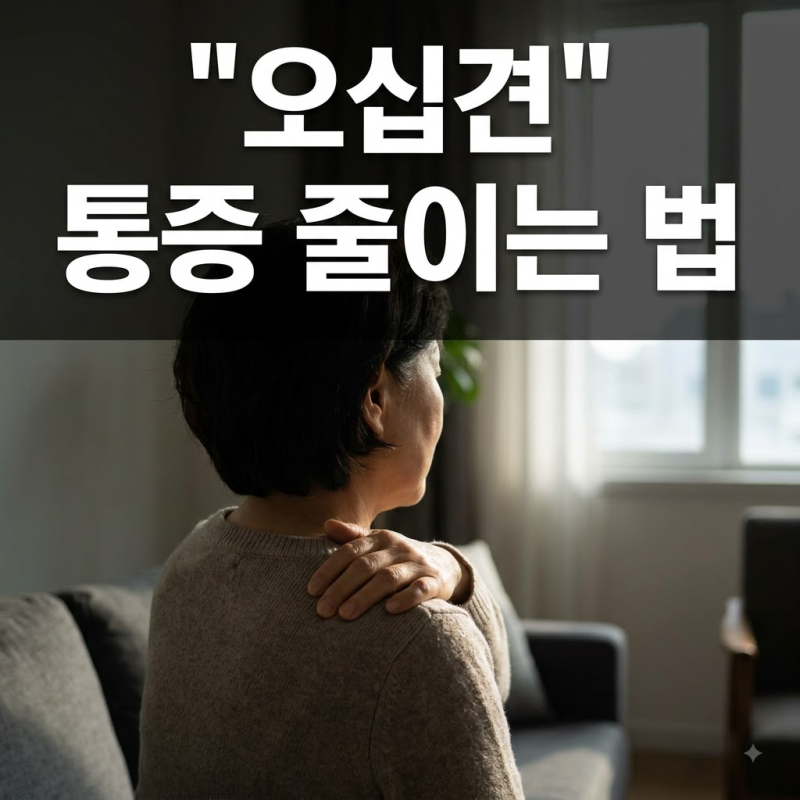 오십견 치료 방법 총정리: 단계별 스트레칭부터 가정용 운동기구 활용법까지