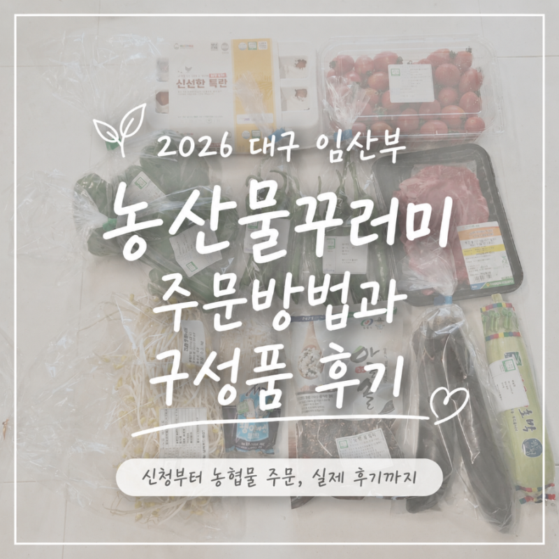 2026 대구 임산부 친환경농산물 꾸러미 주문방법｜든든담백꾸러미 구성품 실제 후기