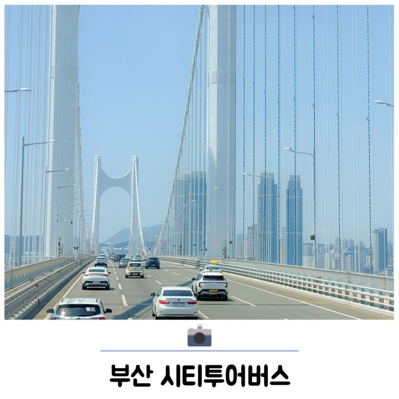 부산 시티투어버스 레드라인 코스 국내 뚜벅이 여행 추천