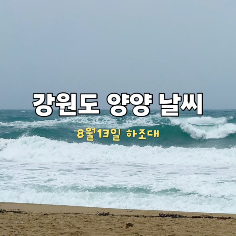 [강원도] 양양 날씨 8월 13일｜하조대 해수욕장 실시간 상황, 강릉·양양 주말 날씨