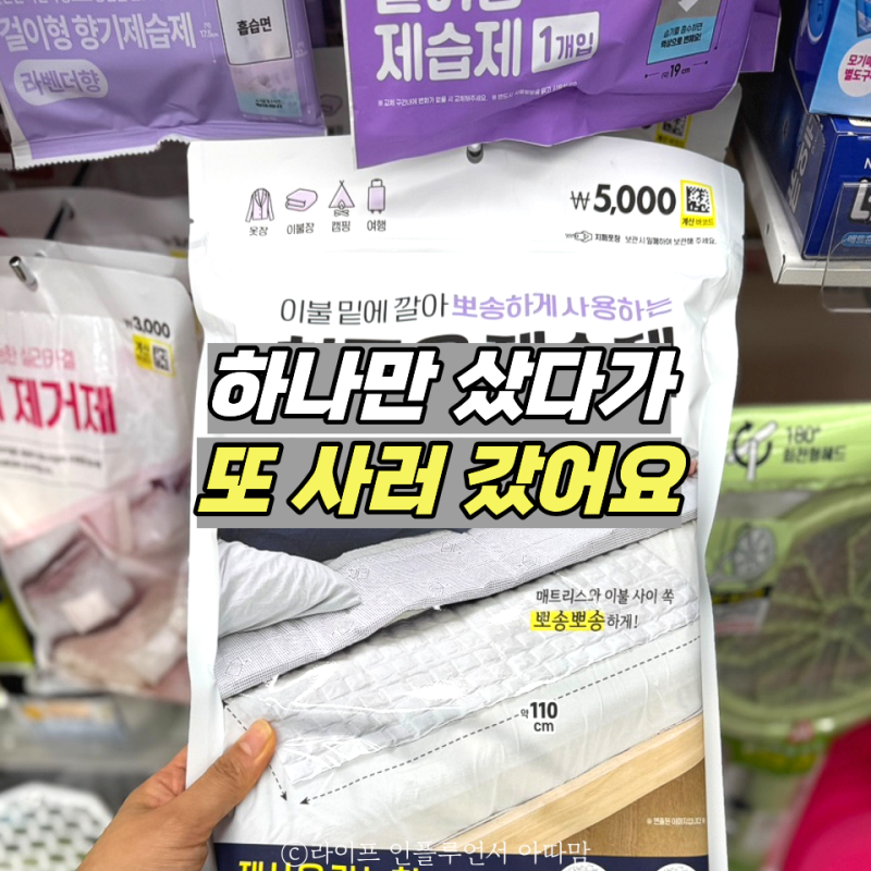 다이소 '이거' 쟁이는 사람 이해 못했는데.. 이젠 갈 때마다 사는 3가지