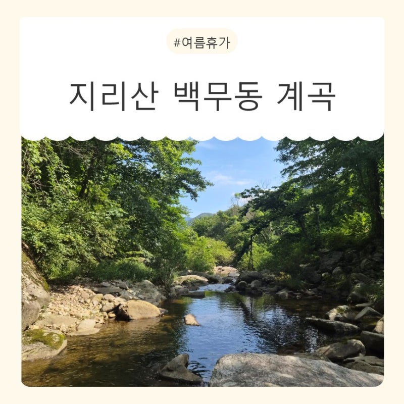 [일상] 여름휴가 지연풍경 힐링 시원한 계곡 지리산 백무동 계곡