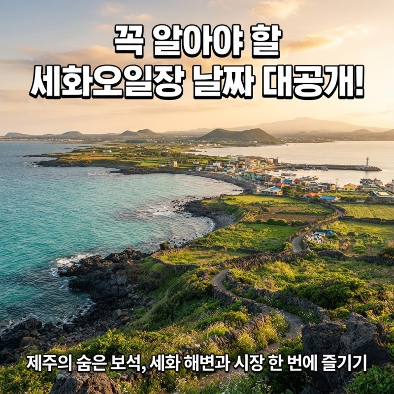 주차부터 운영 시간까지 제주 세화해수욕장, 세화오일장 날짜 안내 미리 확인하기