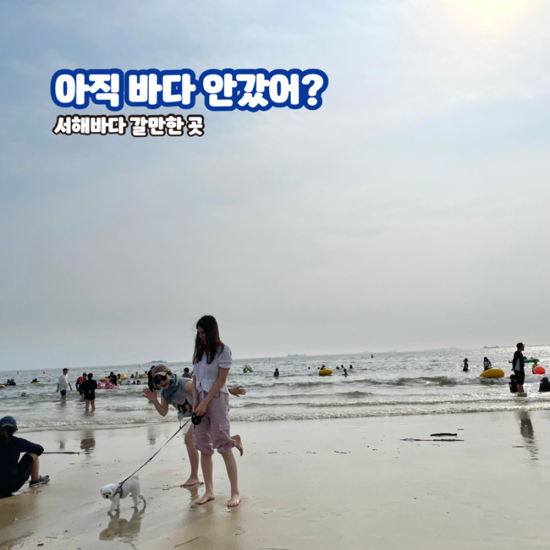 대천해수욕장 주차 샤워장 준비물, 8월 가족 물놀이 후기