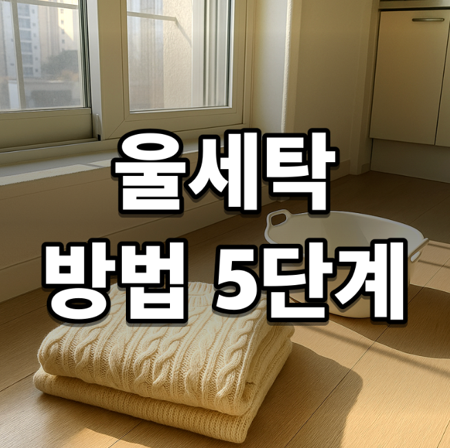 울세탁 방법 5단계, 니트 줄어드는 실수 피하는 순서