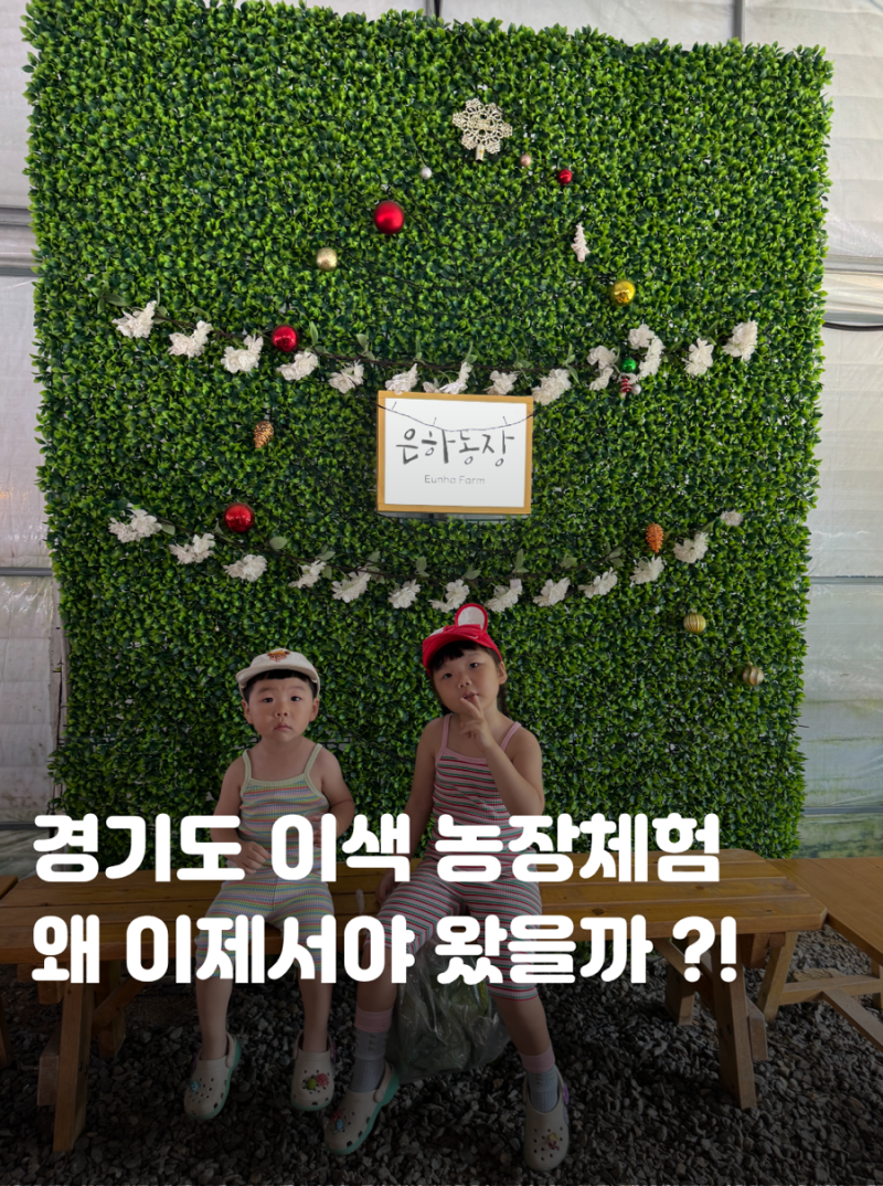 서울근교 경기도 아이랑 체험하기 좋은곳 주말 농장나들이