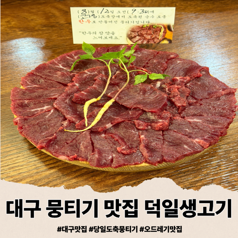 [대구] 중구 덕일생고기 본점 | 당일 도축 뭉티기 오드레기 생고기 맛집 추천