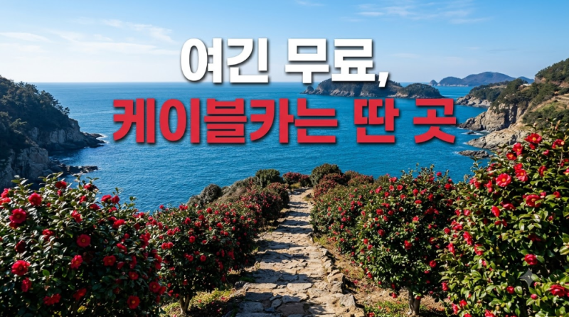여수 오동도, 케이블카는 완전히 다른 코스예요